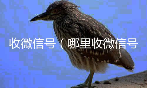 收微信号24小时全天回收vx（哪里收微信号）